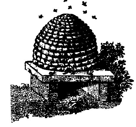 Masonic Beehive